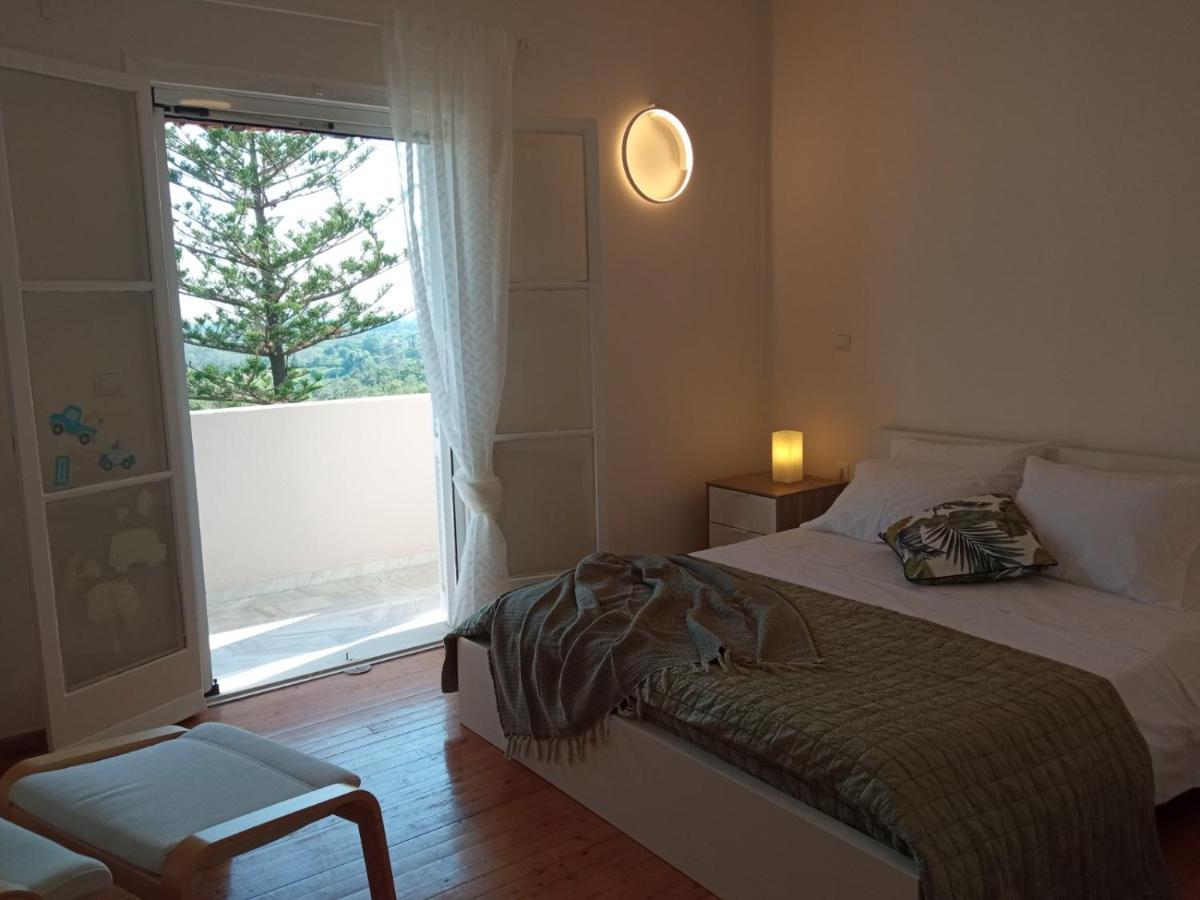 Holiday home Olive Hill House