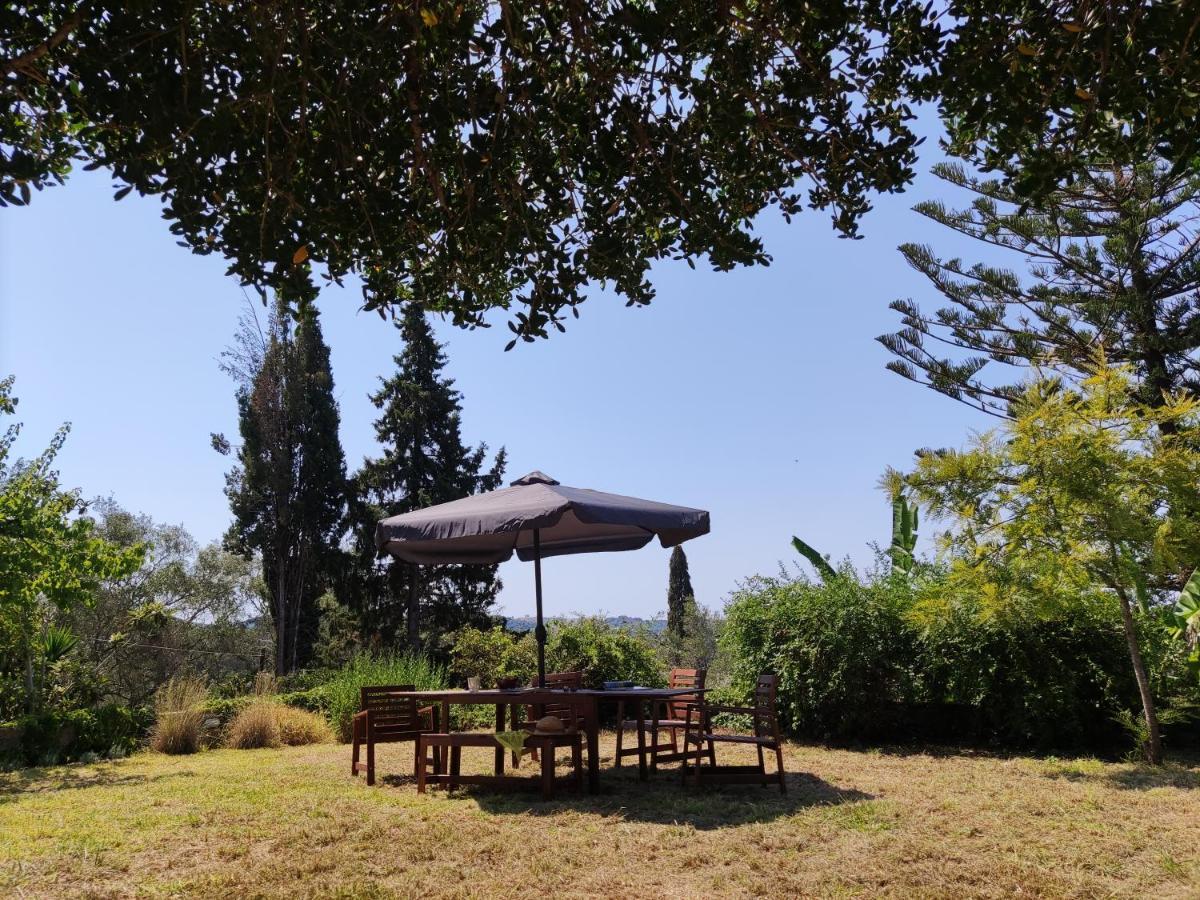 Olive Hill House Vragkaniotika